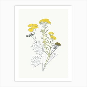Feverfew Spices And Herbs Minimal Line Drawing 2 Art Print