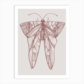 Moth Drawing Art Print