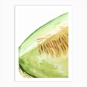 Honeydew Melon Close Up Illustration 4 Art Print