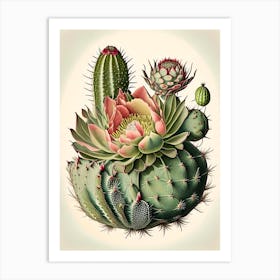 Cactus Flower 3 Floral Botanical Vintage Poster Flower Art Print