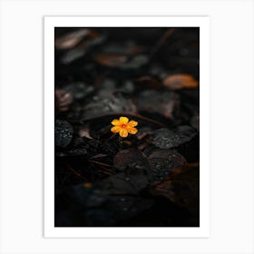 Yellow Flower In The Rain Art Print