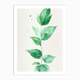 Spearmint Leaf Minimalist Watercolour 1 Art Print