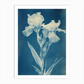 Iris Dream Art Print