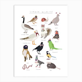 London Wildlife Art Print