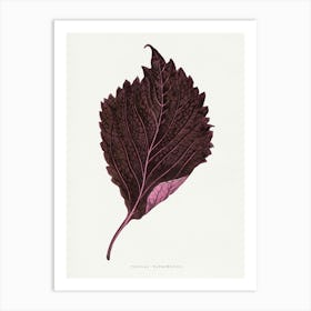 Vintage Botanical Art Print _2643247 Art Print