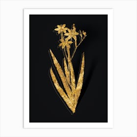 Vintage Blackberry Lily Botanical in Gold on Black n.0162 Art Print