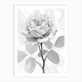 English Roses Painting Rose Geometric 7 Art Print