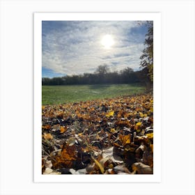 Autumn Leaves In A Field Art Print