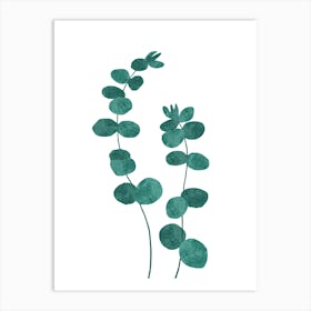 Green leaves Art Print