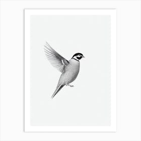 Partridge B&W Pencil Drawing 3 Bird Art Print