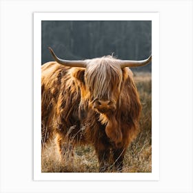 Highland Cow in the field | colorful travel photography 3 Art Print