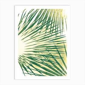 Green Palm Leaves cyanotype Art Print