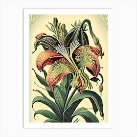 Inca Lily 2 Floral Botanical Vintage Poster Flower Art Print