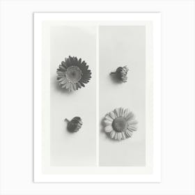 Gerbera Flower Photo Collage 4 Art Print