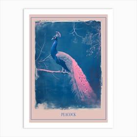 Blue & Pink Peacock On A Tree 1 Poster Art Print