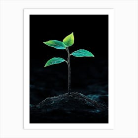 Tree Growing Out Of The Ground 5 Art Print