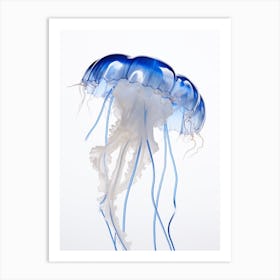 Portuguese Man Of War Jellyfish Watercolour 5 Art Print