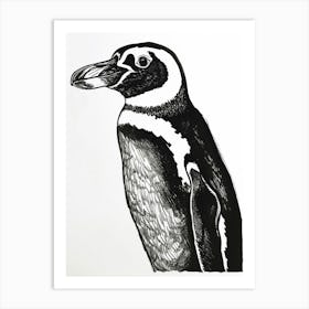 African Penguin Staring Curiously 1 Art Print
