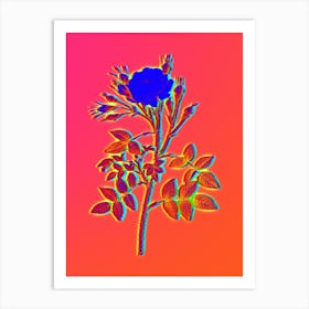 Neon White Rose of Rosenberg Botanical in Hot Pink and Electric Blue n.0273 Art Print