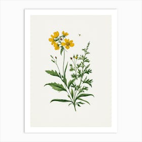 Vintage Botanical Galleria Style Wildflower Painting 11 Art Print