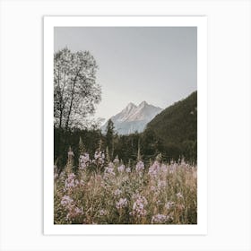 Mountain Flower Meadow Art Print