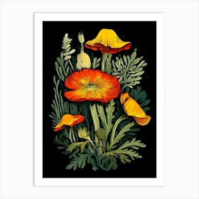 Wild Poppy Art Print