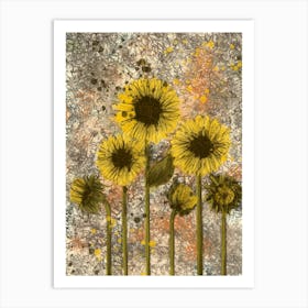 Sunflowers Art Print