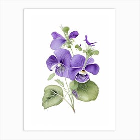 Violets Floral Quentin Blake Inspired Illustration 1 Flower Art Print