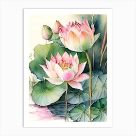 Lotus Flowers In Park Watercolour Ink Pencil 2 Art Print