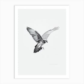 Red Tailed Hawk B&W Pencil Drawing 1 Bird Art Print