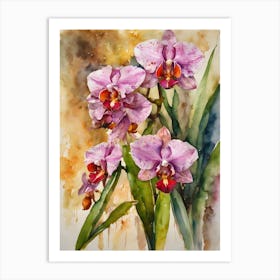 Lycaste Orchids Water Colour 2 Art Print