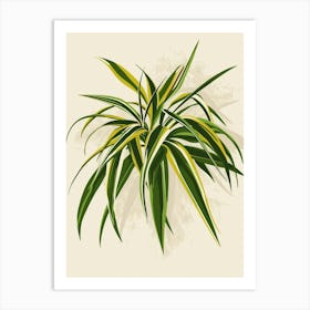 Spider Plant Minimalist Illustration 3 Art Print