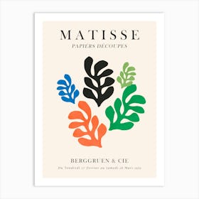 Matisse floral Art Print