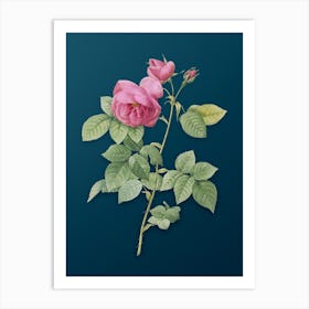 Vintage Pink Bourbon Roses Botanical Art on Teal Blue n.0811 Art Print