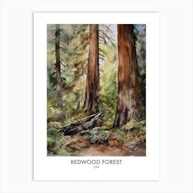 Redwood Forest 2 Watercolour Travel Poster Art Print