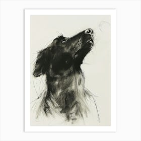 Black Dog Charcoal Line Art Print