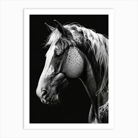 Horse Portrait 1 Art Print