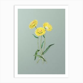 Vintage Helichrysum Flower Branch Botanical Art on Mint Green n.0207 Art Print