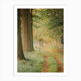 Morning Walk in the Forest Art Print