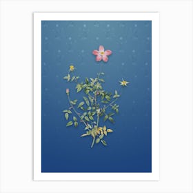 Vintage Single Dwarf Chinese Rose Botanical on Bahama Blue Pattern n.2020 Art Print