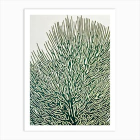 Acropora Tenuis Iiii Linocut Art Print