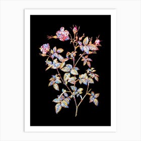 Stained Glass Pink Flowering Rosebush Mosaic Botanical Illustration on Black n.0312 Art Print