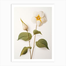 Pressed Wildflower Botanical Art Prairie Trillium 2 Art Print