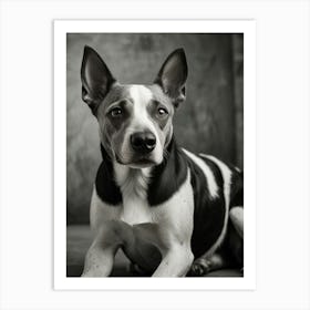 Black And White Dog Portrait Art Print