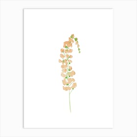 Wild flower 2 Art Print