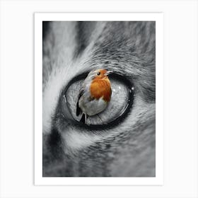 Robin's Eye Art Print