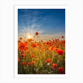 Gorgeous Sunset In A Poppy Field 1 Art Print