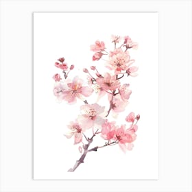 Watercolor Cherry Blossoms 2 Art Print