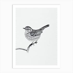 Hermit Thrush B&W Pencil Drawing 3 Bird Art Print