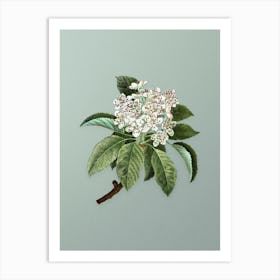 Vintage Shipova Botanical Art on Mint Green n.0120 Art Print